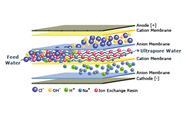 ElectroDeionization Systems